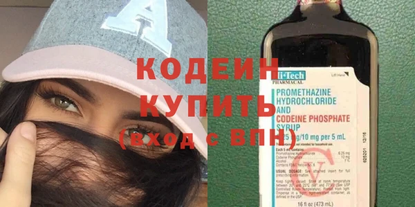 индика Заволжск
