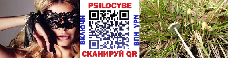 Псилоцибиновые грибы мухоморы  мега ссылка  Разумное  как найти закладки 